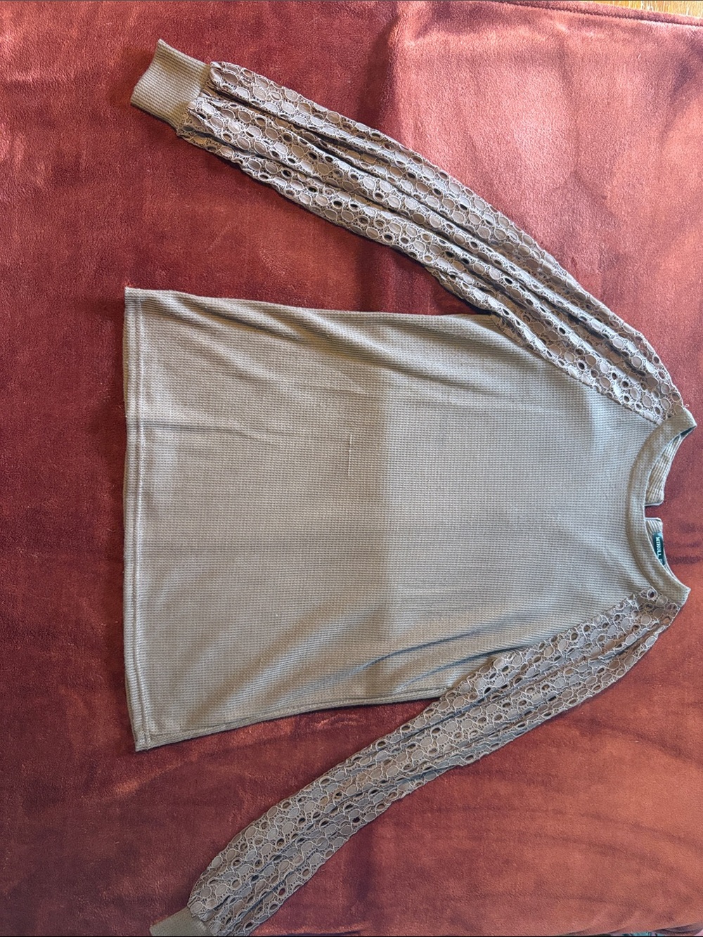 Light Taupe Lace-Sleeve Knit Top - Women